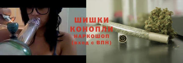 молекула духа Кущёвская