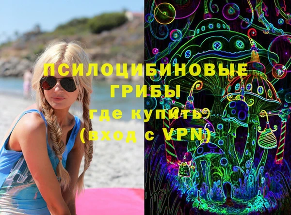 PSILOCYBIN Ладушкин