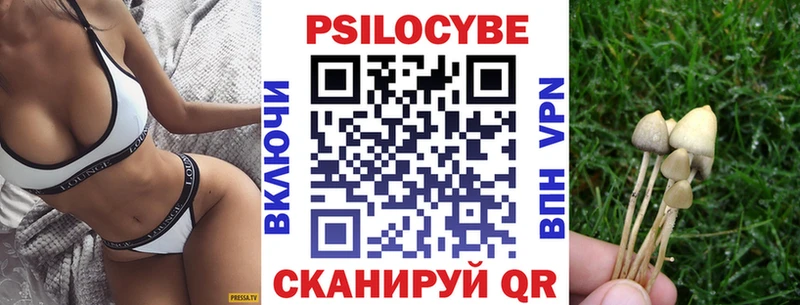 Псилоцибиновые грибы Magic Shrooms МЕГА рабочий сайт Ярославль