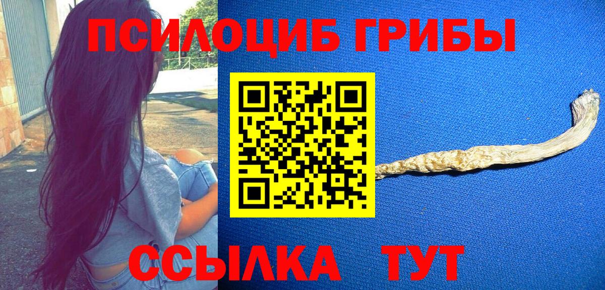 Псилоцибиновые грибы Psilocybine cubensis Ярославль