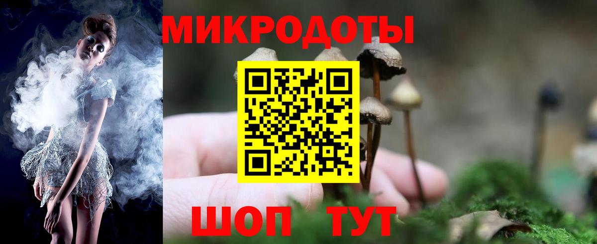 Псилоцибиновые грибы GOLDEN TEACHER  Вход с VPN  Ярославль 
